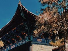 -舍利塔滩地公园-无垢净光舍利塔