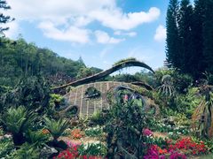 -深圳仙湖植物园