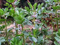 -西南民族大学南区(双流校区)