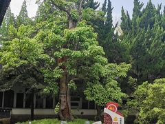 -苏州碑刻博物馆