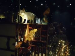 -深圳皇庭V酒店