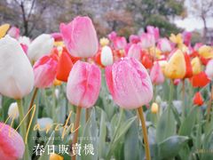 -大宁公园