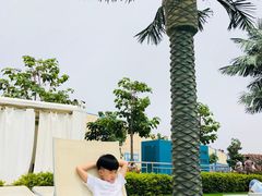 -秦皇岛乐岛海洋王国