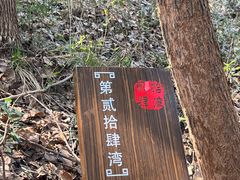 -雨花胜境