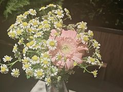 -半秋山西餐厅(巴南万达广场店)