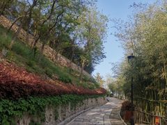 -竹子庵公园