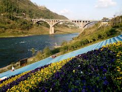 -江龙饭店·乌江豆腐鱼(乌江站分店)