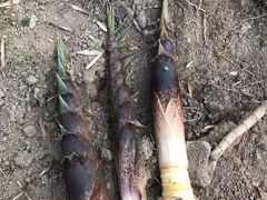 -幽优农庄·森波拉特色本地农家菜