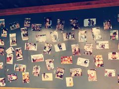 -柴犬高等学院·狗咖·柴犬售卖·宠物训练