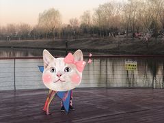 -东郊湿地公园