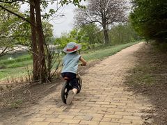 -北运河水利风景区
