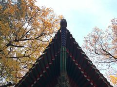 -香山公园