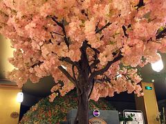 -汤泉良子(金源店)