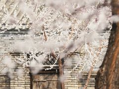 -三里河公园