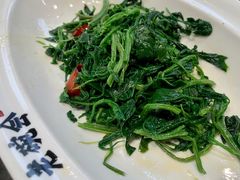 凉拌灰灰菜-老碗会·陕西手工面(创智云城店)