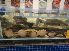 -隐厨·海鲜餐厅(恒通路店)