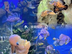 -石林冰雪海洋世界