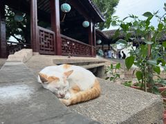 -锦溪古镇
