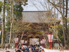 -醍醐寺