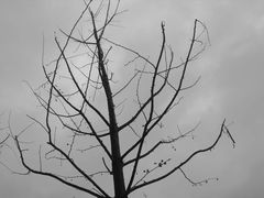 -国家会展中心-P3停车场