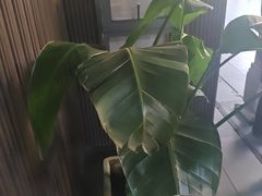 -阿伟海鲜楼·福建菜(涵江店)