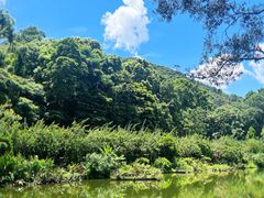 -深圳仙湖植物园