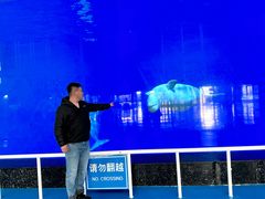 -泉城欧乐堡海洋极地世界
