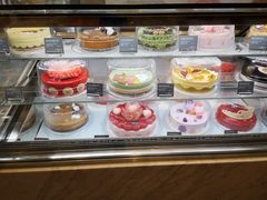-哈根达斯(深圳海岸城店)
