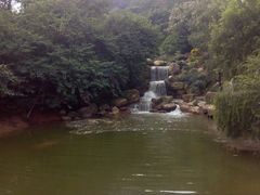-广州市帽峰山景区