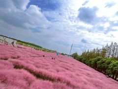 -嘉北郊野公园