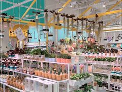 -KKV(深圳宏发大仟里店)