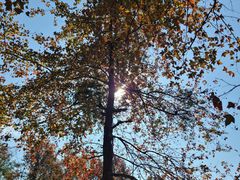 -广州市石门国家森林公园