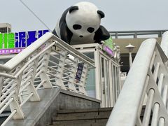 -海河游船-永乐码头(大悲院)