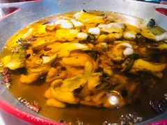 -雲蜀龙阁·金牌水煮鱼(方庄店)