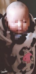 -龙文宝贝上门婴儿理发满月剃胎毛(总店)