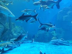 -多彩贵州城极地海洋世界