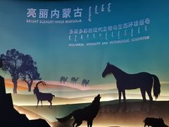 -呼和浩特博物馆