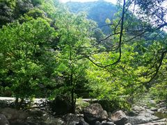 -白云源风景区