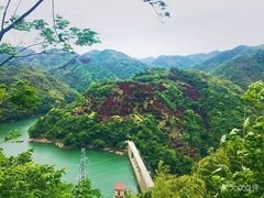 -四明山国家森林公园