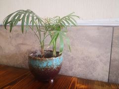 -骆马湖酒家(窑湾新区店)