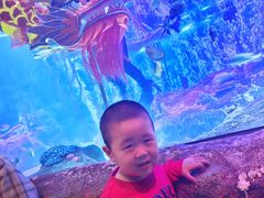 -沈阳海洋探索中心