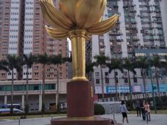 -金莲花广场