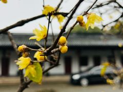 -北寺塔