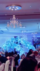 宴会厅-罗斯福公馆·宴会厅