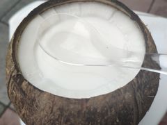 -椰爺爺·椰子冻砵仔糕