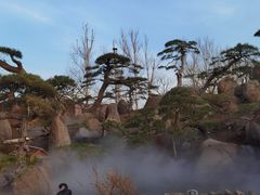 -罗红摄影艺术馆