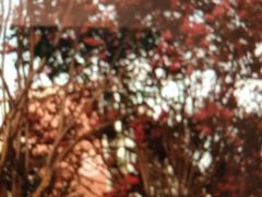 -玉林生活广场