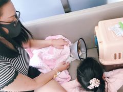 -爱侣宠医·鹦鹉专科·小型哺乳类·异宠专科(灵石路店)