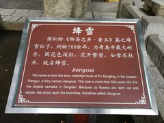 -青岛崂山太清宫