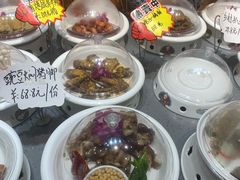 -邵年鸽(杨庄店)